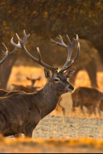 Imagen de Extremadura, el paraíso natural de Europa - 4