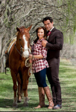 Imagen de Amor bravío - 4