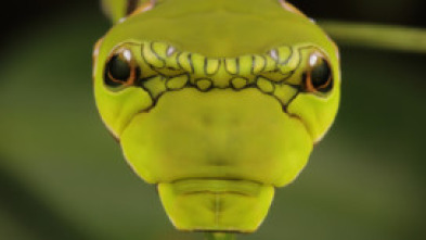 Imagen de Especial Los reinos ocultos de China  - 10