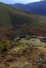 Imagen de Os Castros - 4