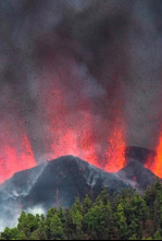 Imagen de Después del Volcán: las voces y los ecos - 4