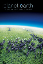 Imagen de Planeta Tierra: Praderas - 4