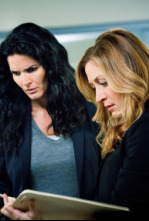 Imagen de Rizzoli & Isles (T4): Ep.4 El asesino con tacones - 4