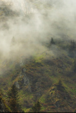 Imagen de El lado salvaje de los...: Invierno - 4