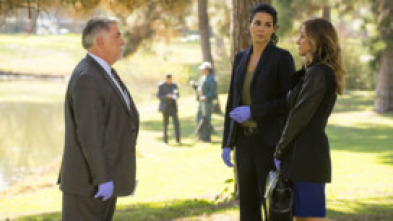 Imagen de Rizzoli & Isles (T5): Ep.2 Adiós - 5