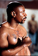Imagen de Invicto - 4