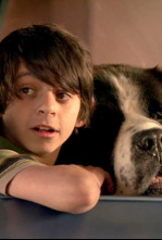 Imagen de Beethoven: la gran oportunidad - 6