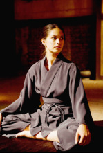 Imagen de Street Fighter: La leyenda - 4