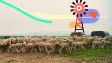 Imagen de Maestr@s del campo - 5