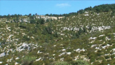Imagen de Xarxa Natura: Prades - 5