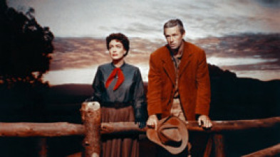 Imagen de Johnny Guitar - 5