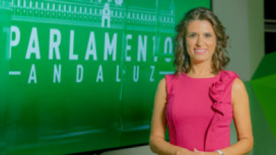 Imagen de Parlamento Andaluz - 5