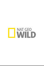 Imagen de Especial muerte al anochecer  - 4