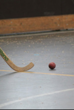 Imagen de Hoquei patins - 4