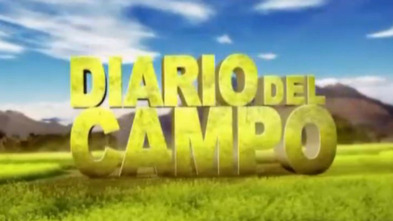 Imagen de Diario de campo - 3