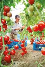 Imagen de Diario de campo - 2