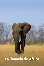 Imagen de La llamada de África - 2