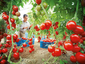 Imagen de Diario de campo - 1