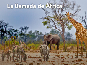 Imagen de La llamada de África - 1