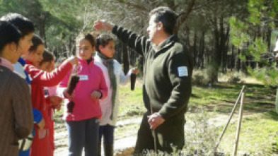 Imagen de Hazte eco: Ep.355 - 5