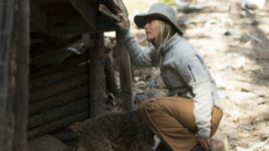 Imagen de Sobrevivir en lo... (T1): Atrapados - 8