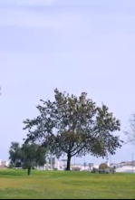 Imagen de Made in Extremadura - 4
