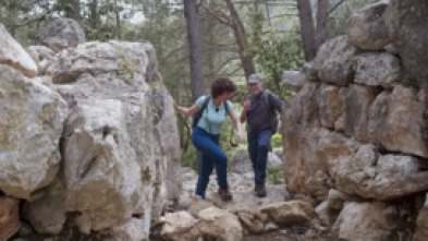 Imagen de Passejades - 5
