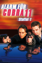 Imagen de Alerta Cobra (T16): Ep.13 Asuntos de familia - 8