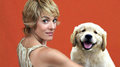 Imagen de Pelopicopata (T1): Ep.4 - 8