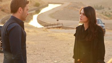 Imagen de En tierra lejana (T1): Ep.20  - 8