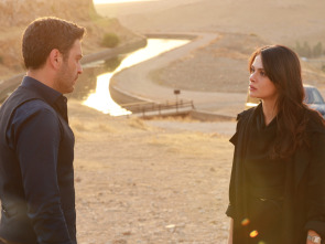 Imagen de En tierra lejana (T1): Ep.20  - 1