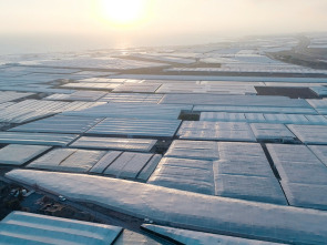 Imagen de The Price of Progress - 1