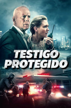 Testigo protegido