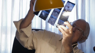 Imagen de Hijos de Andalucía: Angel León 