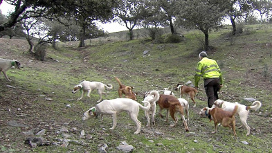 Imagen de Lances - 3
