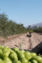 En el piélago de...: Italia 1