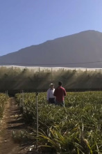 Imagen de Andaluces por España (T4): Denia - 2