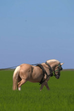 Imagen de Al sur del tiempo: Sevilla - 2