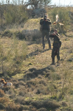 Imagen de Lances - 2