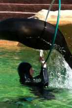 Imagen de Animales en familia - 2