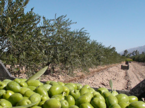 En el piélago de...: Italia 1