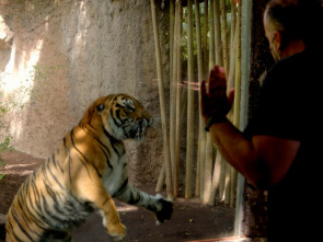 Imagen de Crónicas del zoo - 1