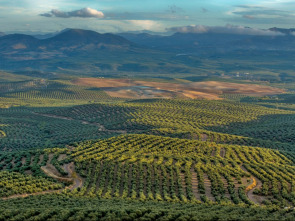 Imagen de Guadalquivir, corazón verde de Andalucía - 1