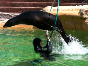 Imagen de Animales en familia - 1