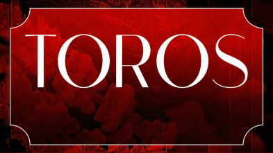 Imagen de Toros (T2026) - 3