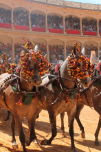 Imagen de I Concurso Internacional de Enganches en Ronda - 2