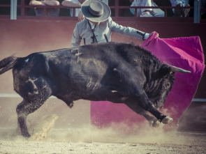 Imagen de Toros (T2026) - 1