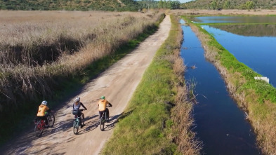 Imagen de Valencians sobre rodes - 3