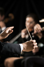 Imagen de Certamen provincial de bandes - 2