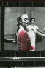 Imagen de Homenatges - 2